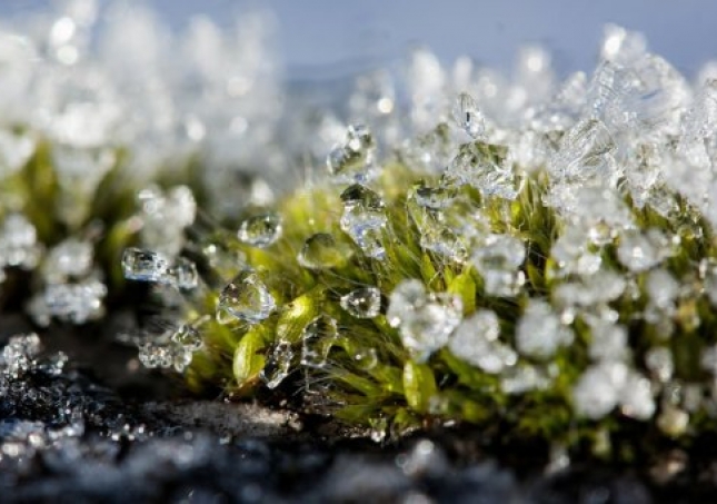 冬春過渡中年人穿鞋悶?zāi)_如何是好？什么鞋子保暖又透氣？